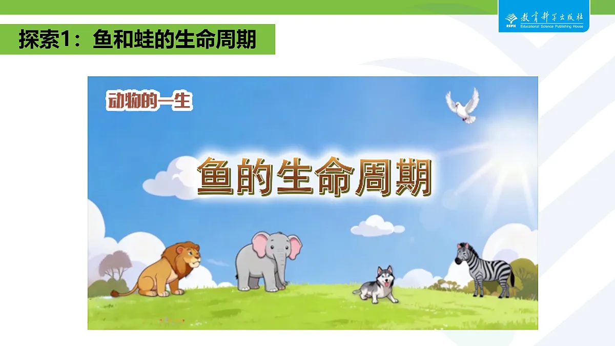 18087585第4页