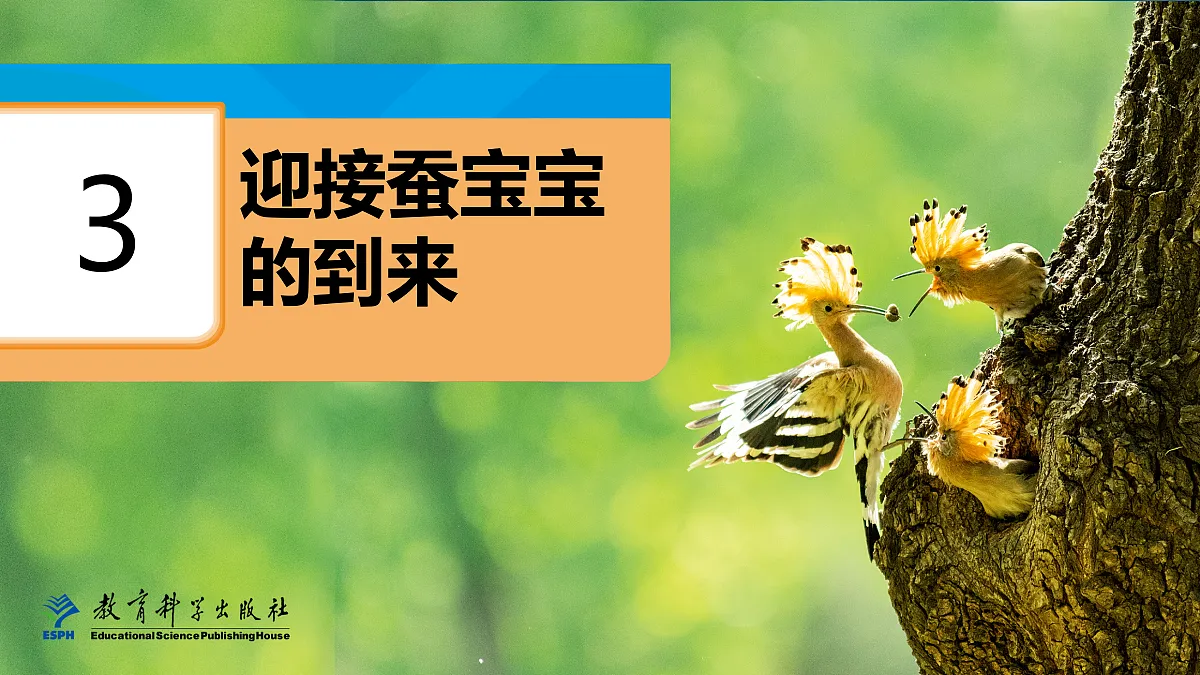 18087586第1页