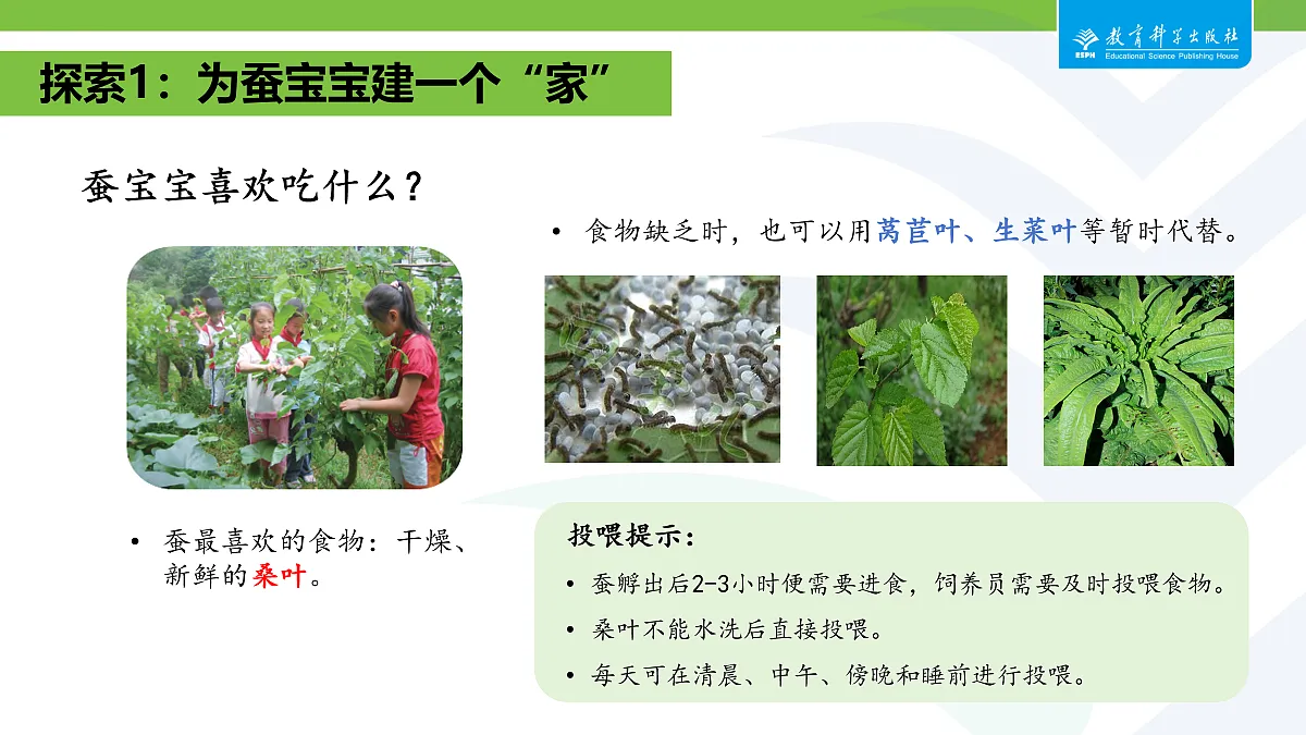 18087586第4页