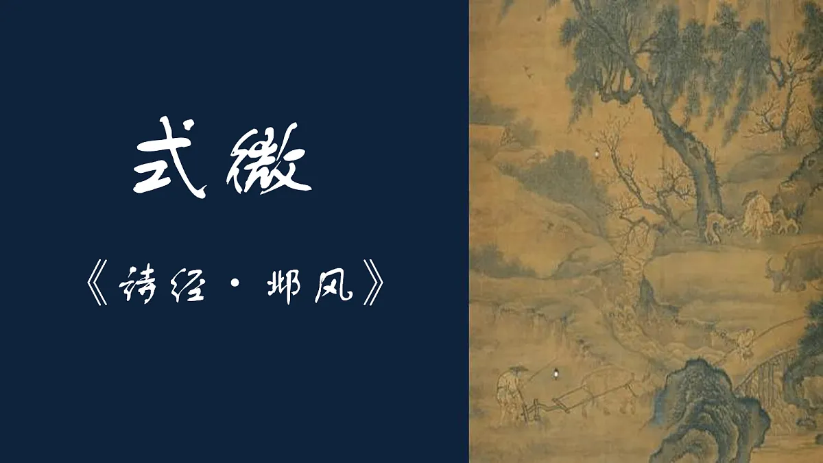 18088235第2页