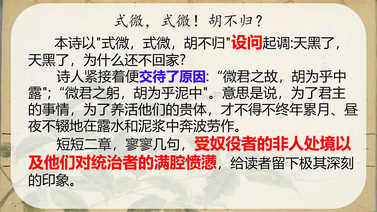 18088235第5页