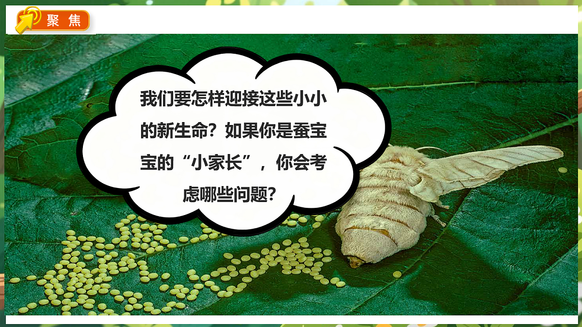 18088254第7页