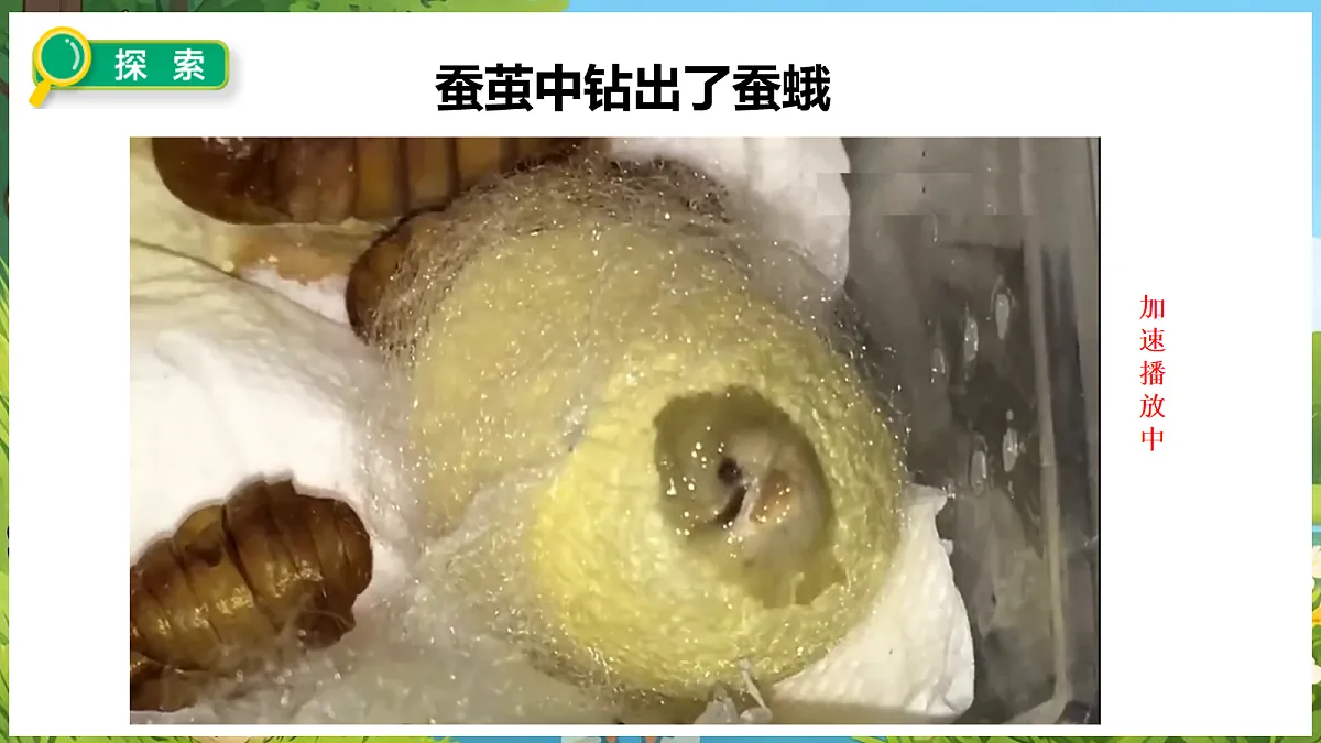 18088256第5页