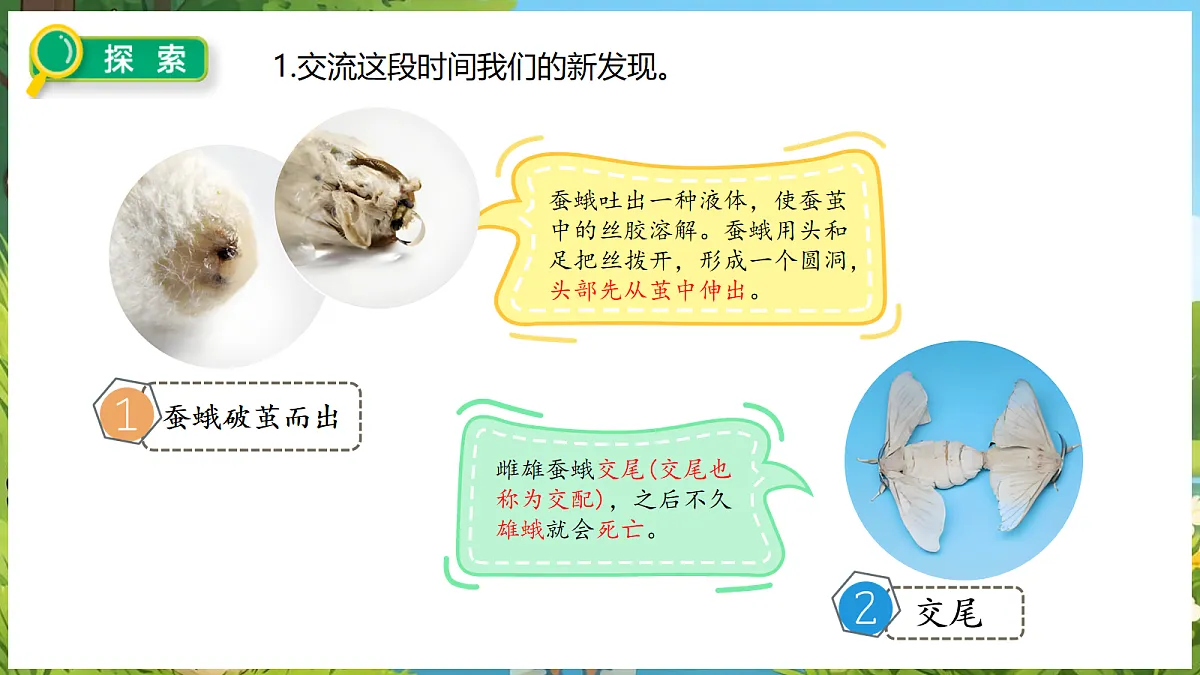 18088256第6页