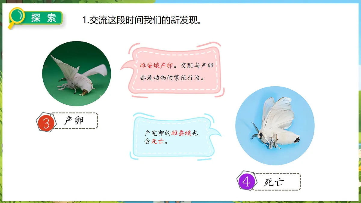 18088256第7页