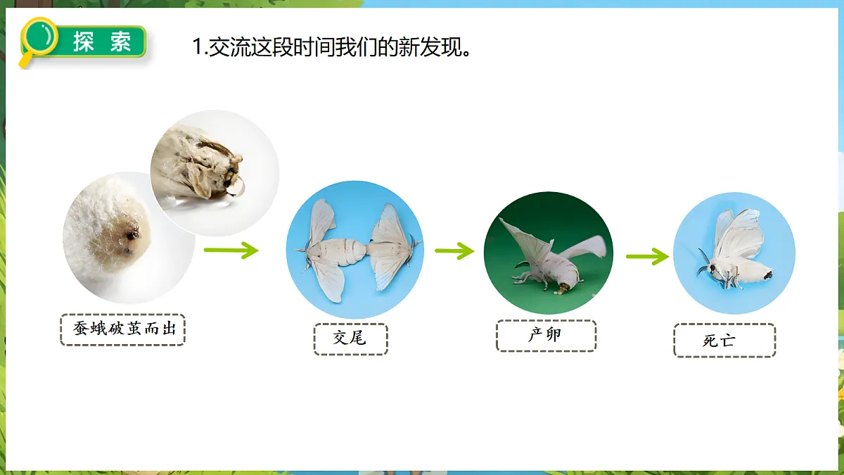 18088256第8页