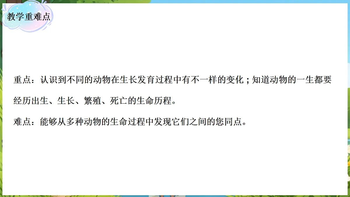18088259第3页