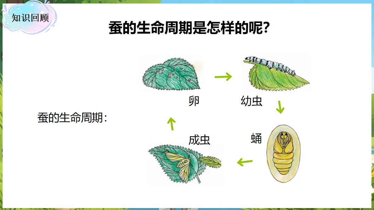 18088259第5页