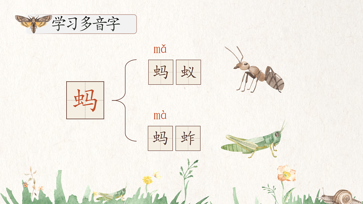 三下第一单元4《昆虫备忘录》 教学课件第5页