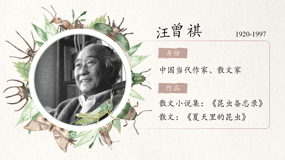 三下第一单元4《昆虫备忘录》 教学课件第6页