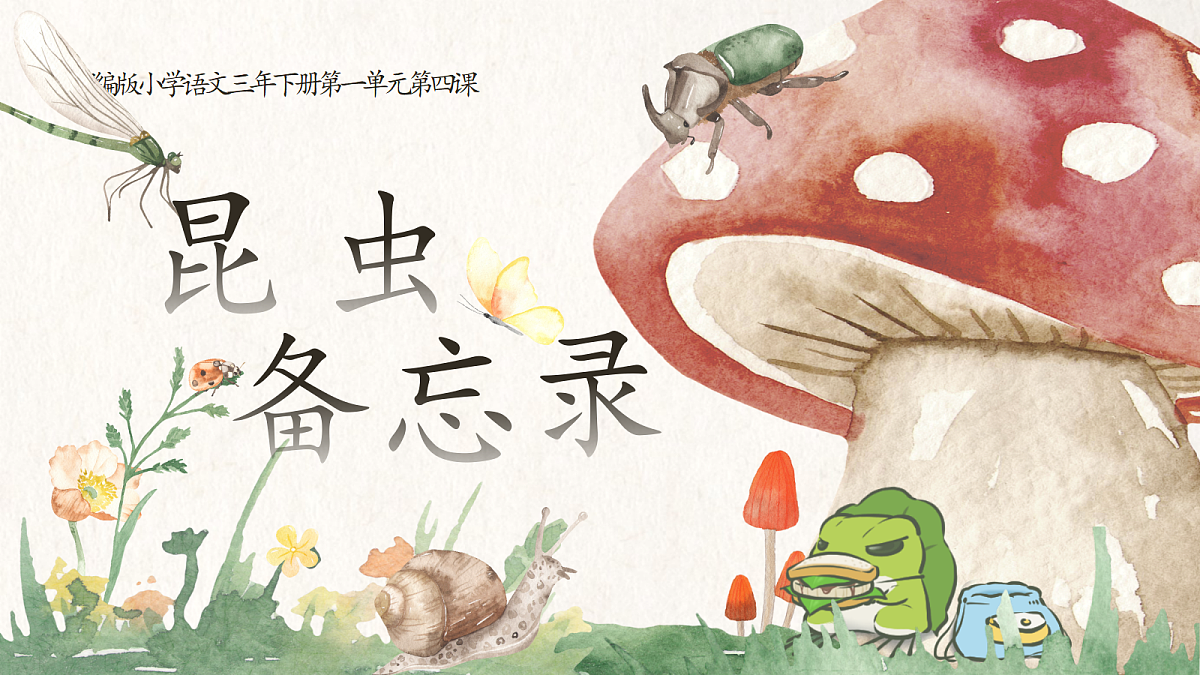 三下第一单元4《昆虫备忘录》 教学课件第7页