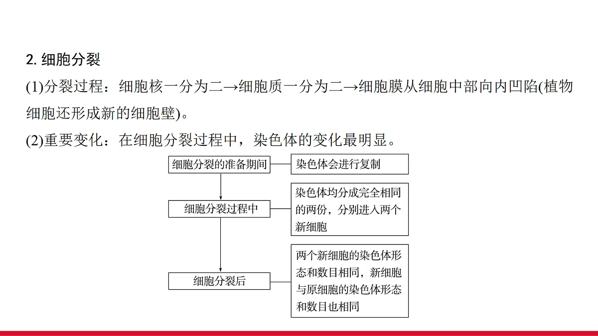 18090258第4页