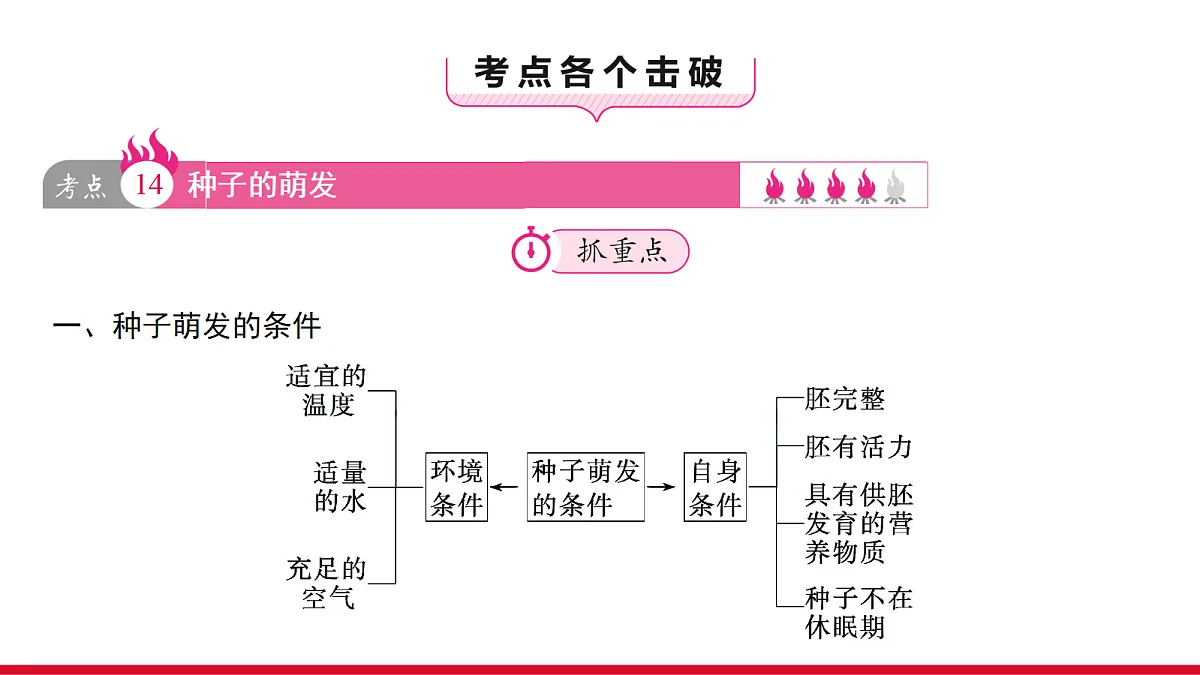 18090263第3页