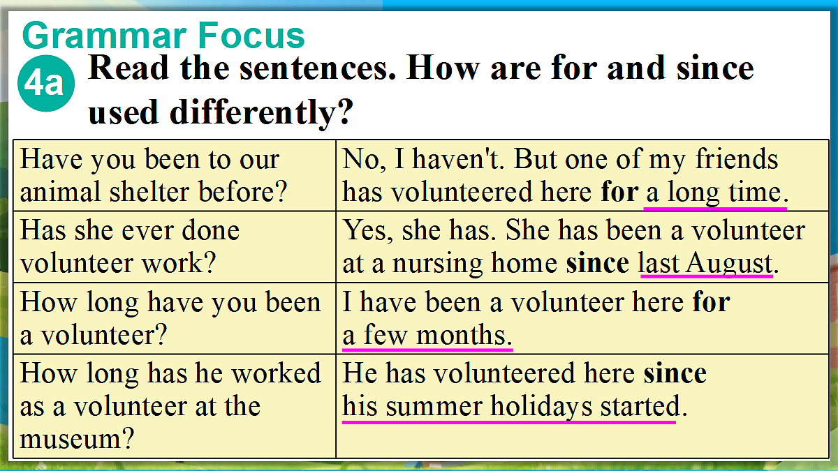 第3课时 Section A(Grammar Focus 4a—4d)第2页