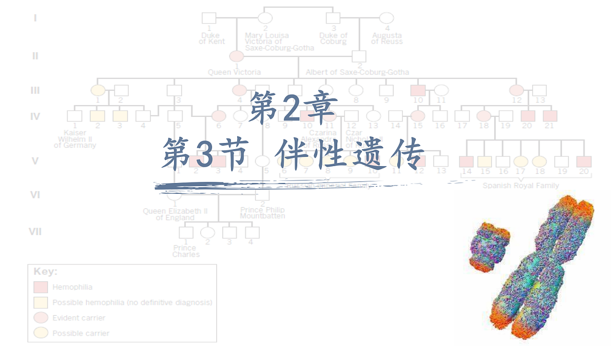 18093268第1页