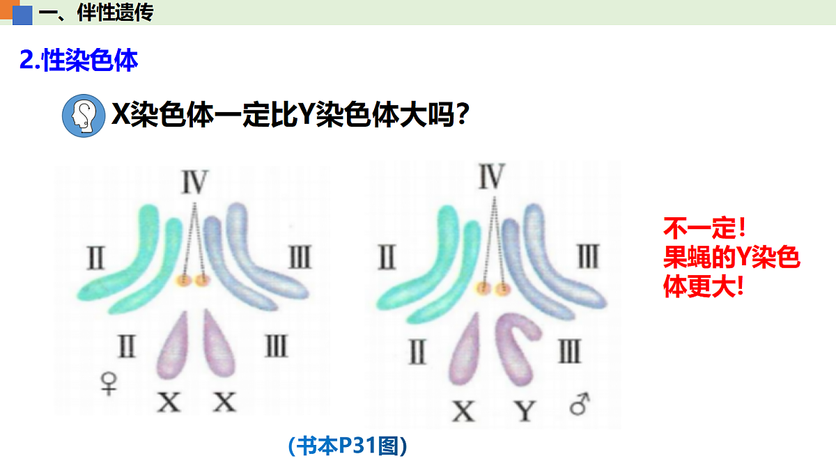 18093268第6页