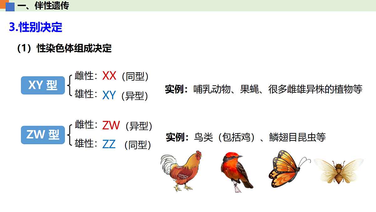 18093268第8页