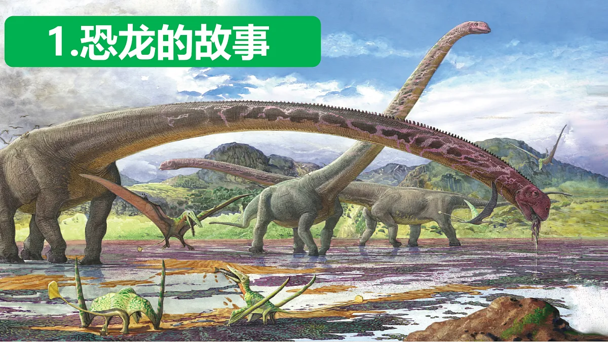 18093775第1页