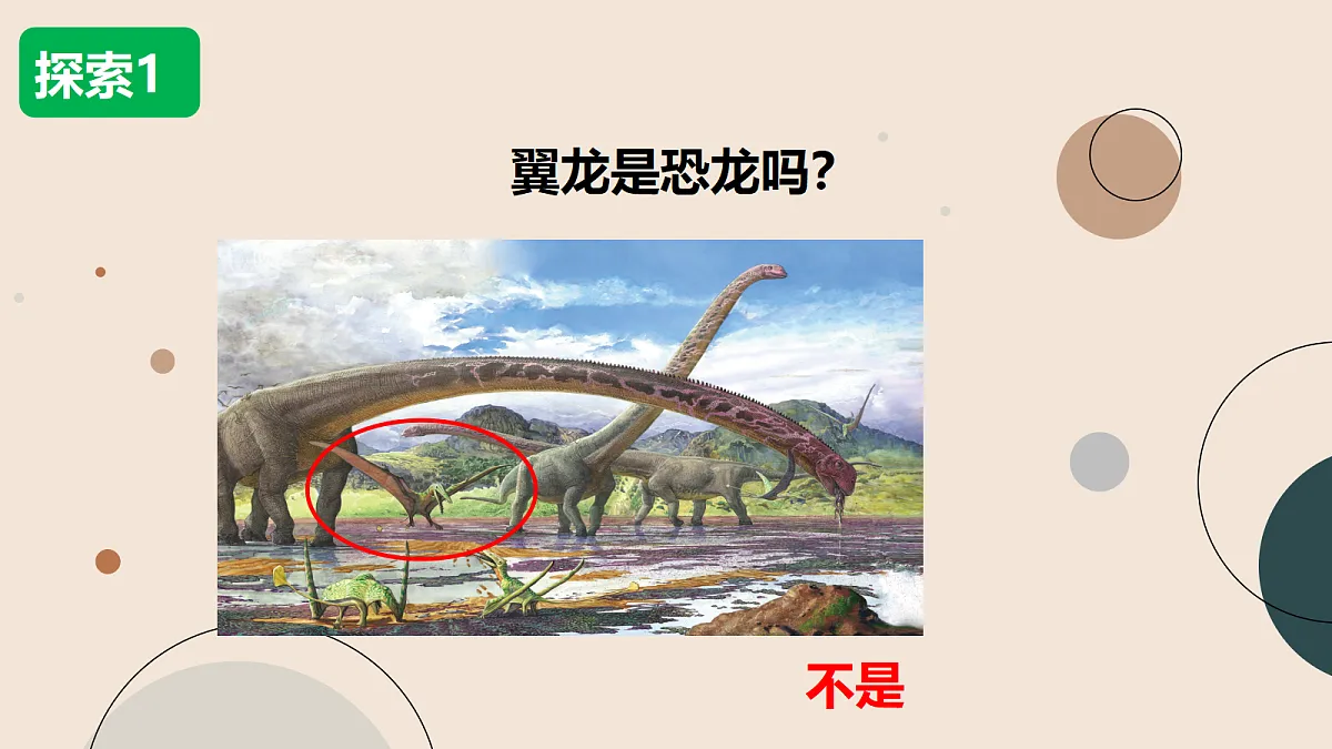 18093775第6页