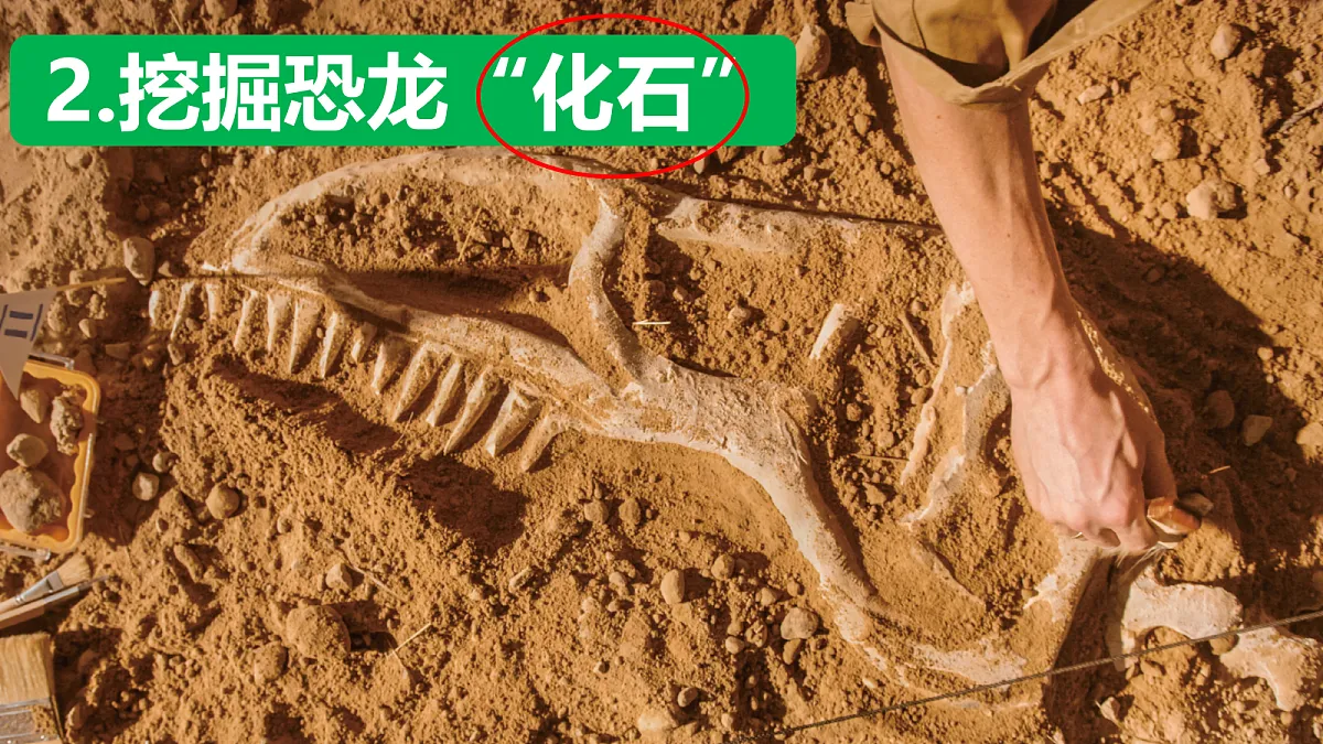 18093777第1页