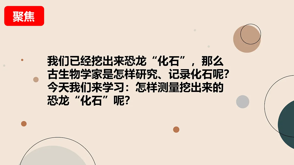 18093779第3页