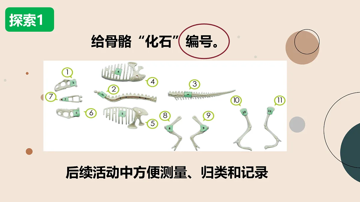 18093779第4页
