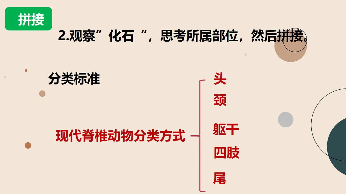 18093782第6页