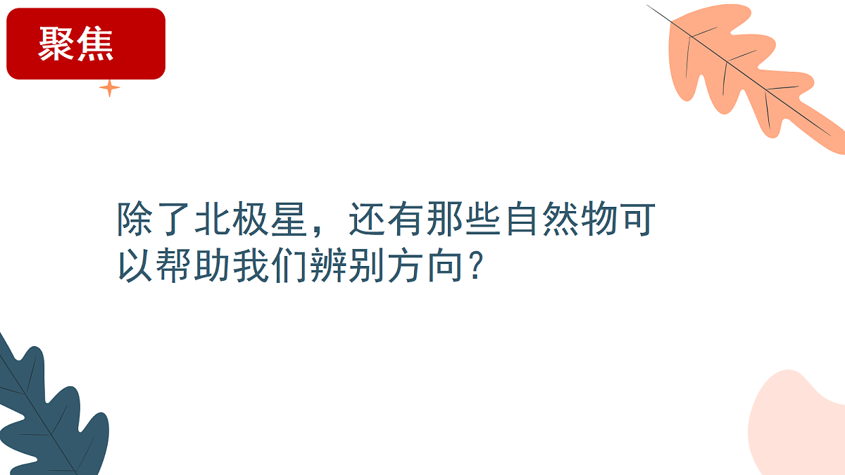 18093846第5页