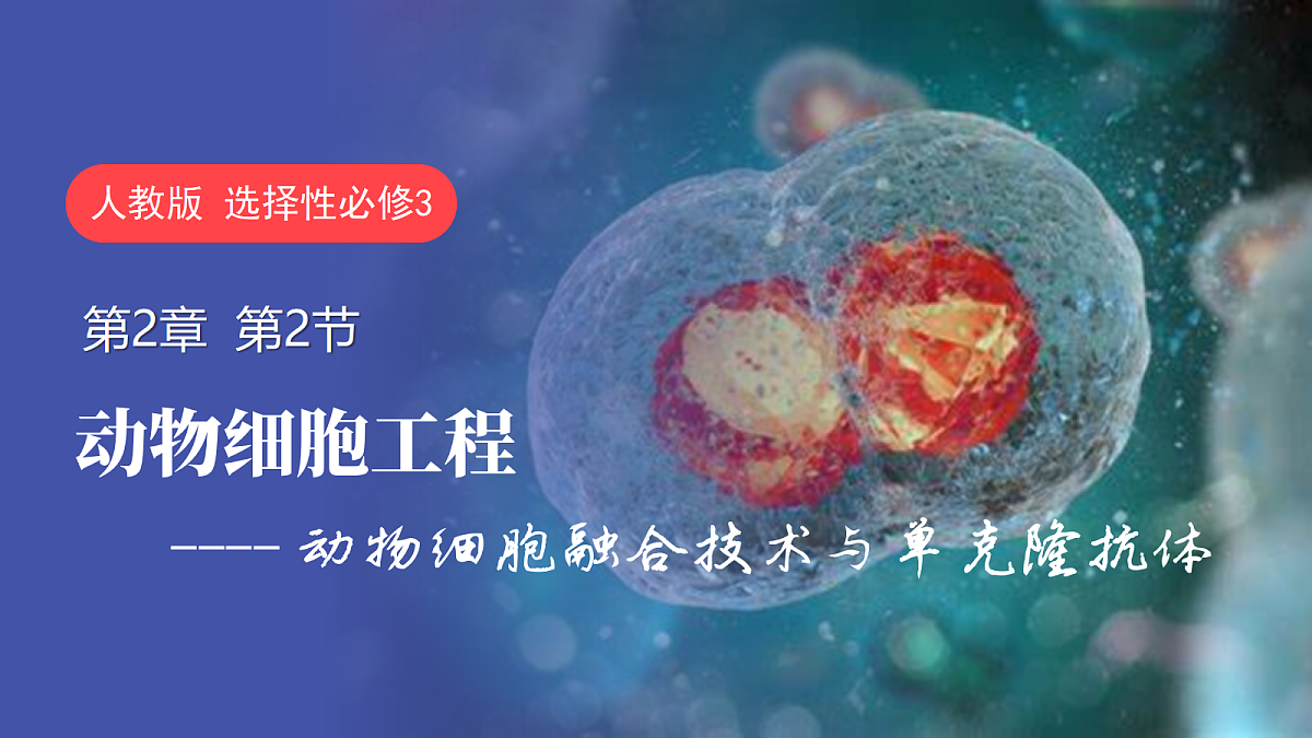 18097254第1页