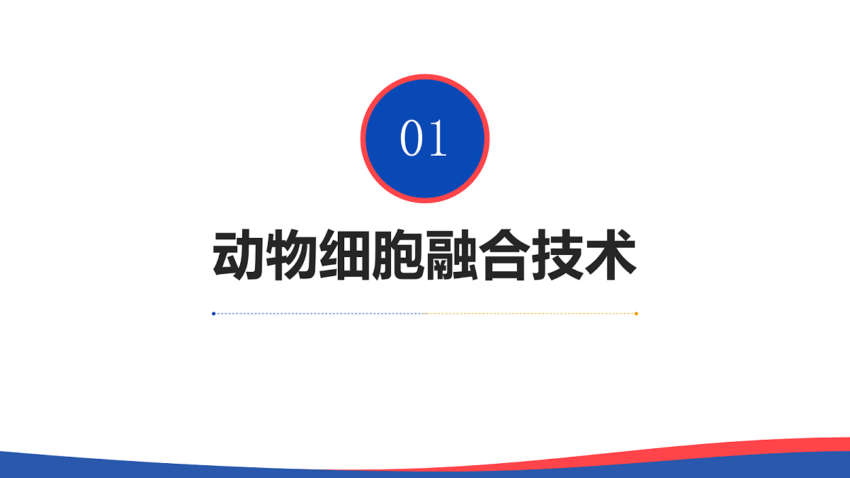 18097254第4页