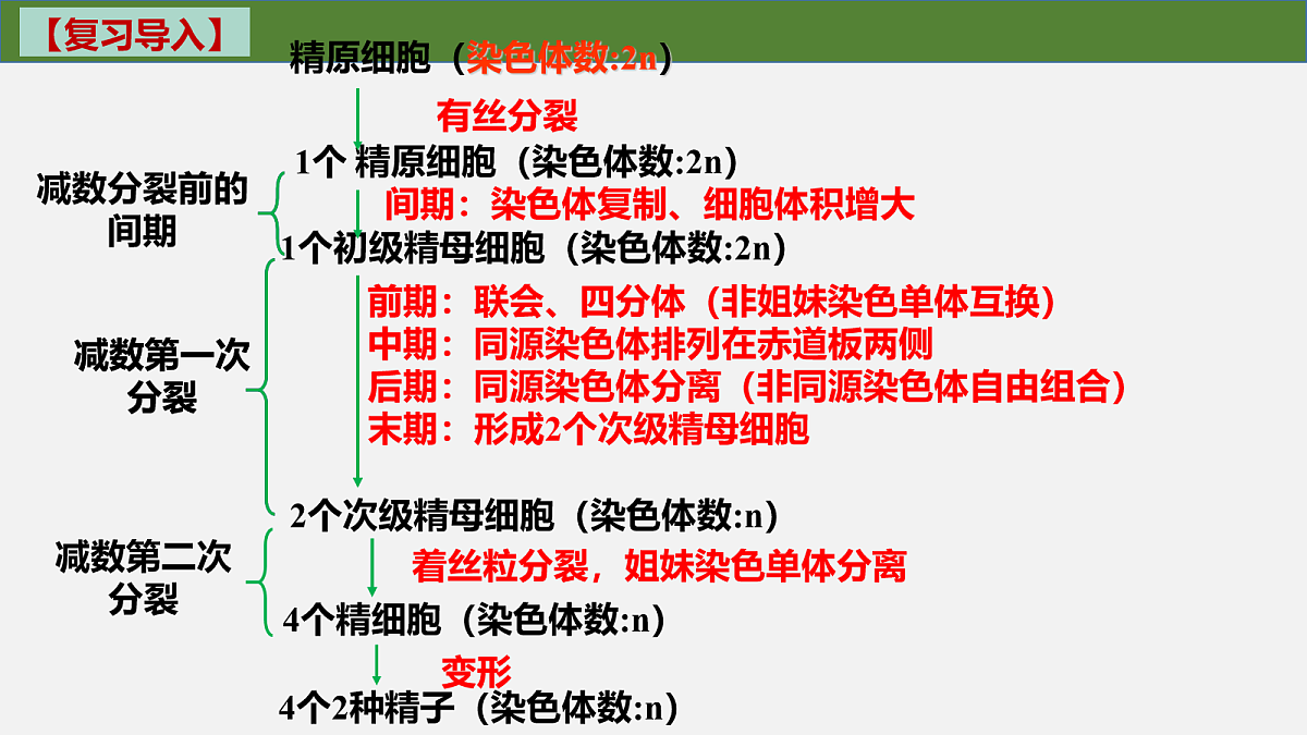 18097256第3页