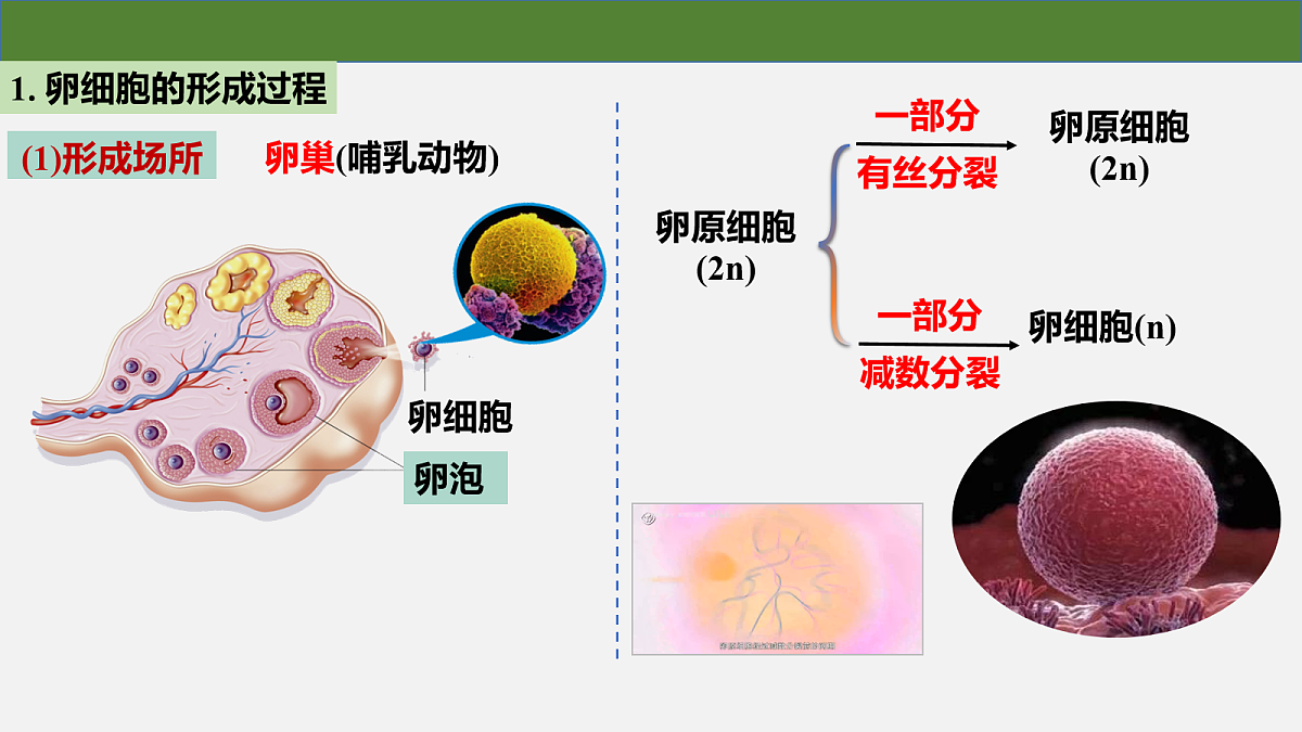 18097256第5页