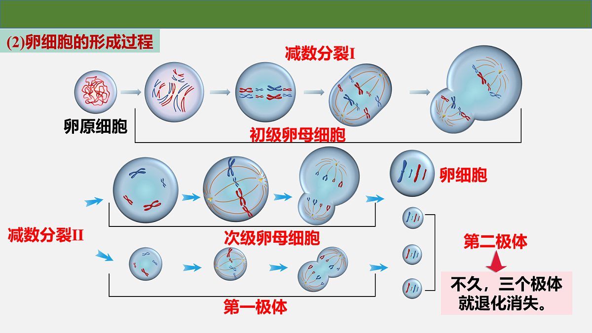 18097256第6页