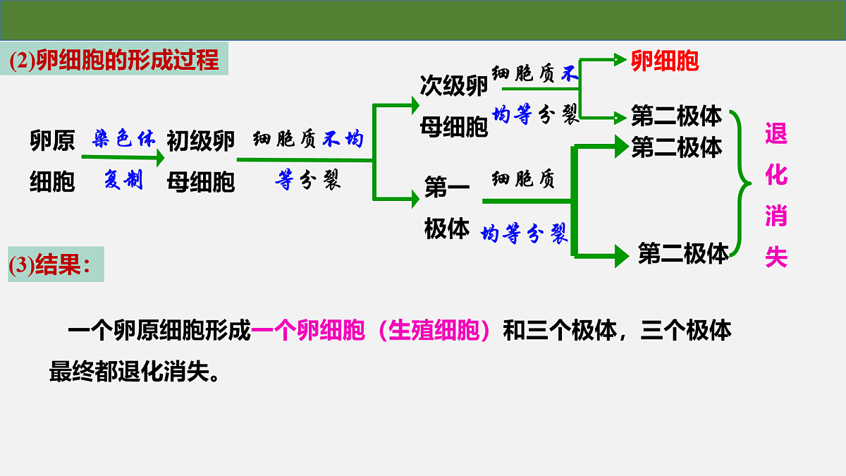 18097256第7页