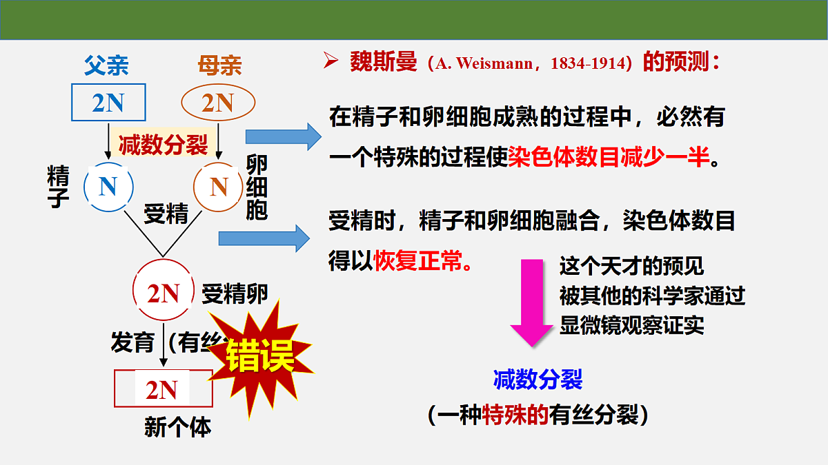 18097257第4页