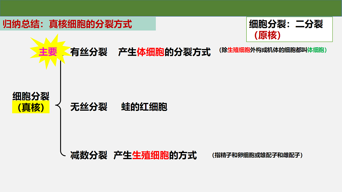 18097257第5页