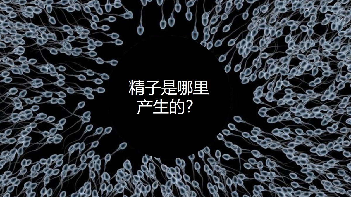 18097257第7页