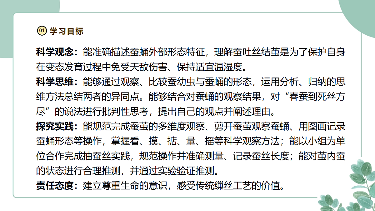 教科版(2024)科学三年级下册2.5《蚕变了新模样》课件第2页
