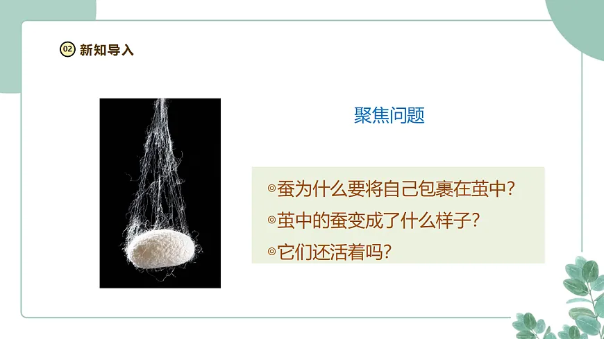 教科版(2024)科学三年级下册2.5《蚕变了新模样》课件第4页