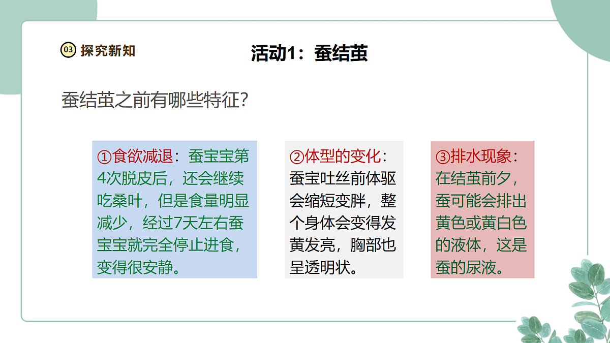 教科版(2024)科学三年级下册2.5《蚕变了新模样》课件第7页
