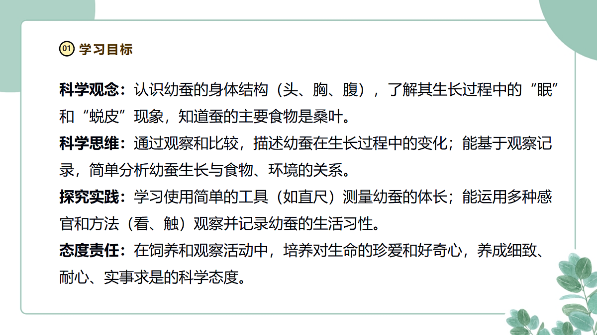 教科版(2024)科学三年级下册2.4《幼蚕在生长》课件第2页