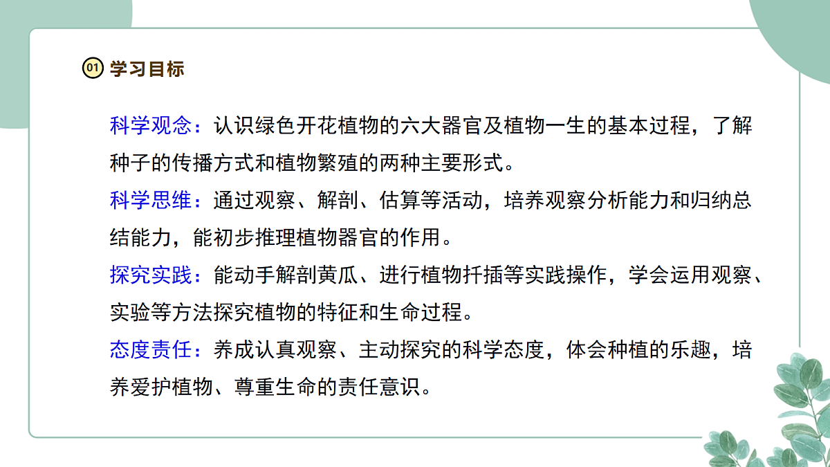 大象版(2024)科学三年级下册2.5《果实与种子》课件第3页