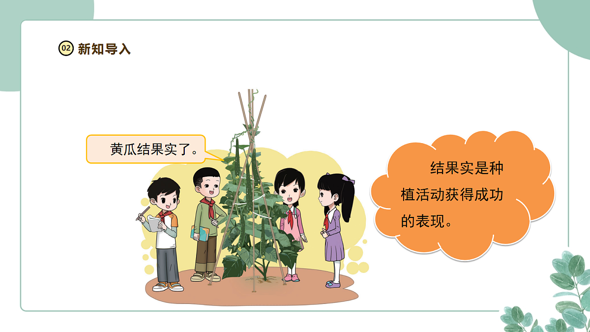 大象版(2024)科学三年级下册2.5《果实与种子》课件第4页