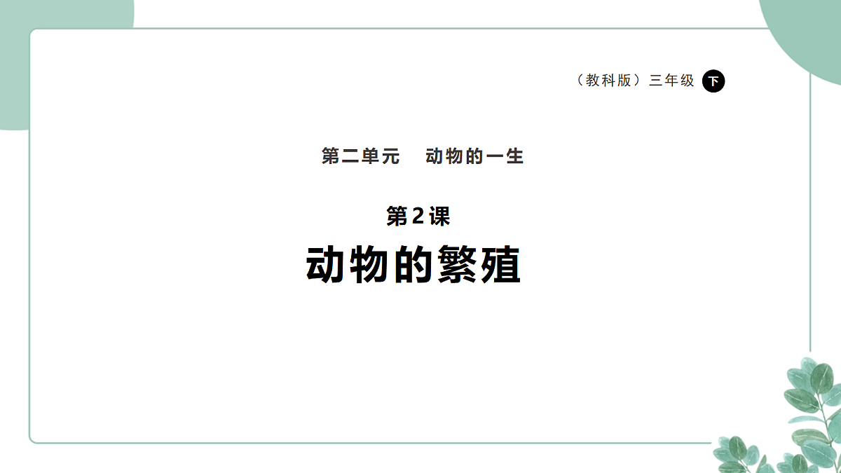 教科版(2024)科学三年级下册《动物的繁殖》课件第1页