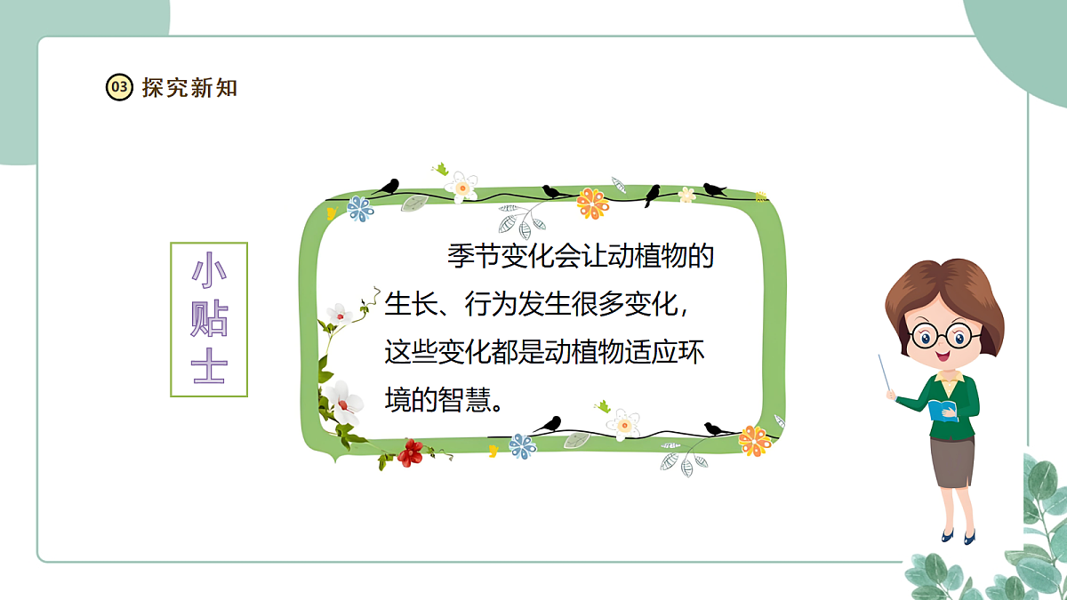 18097659第7页
