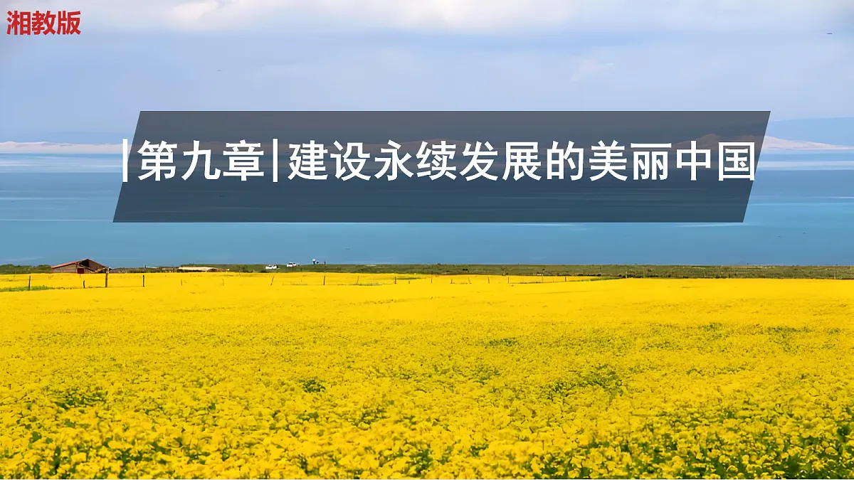 18098494第1页
