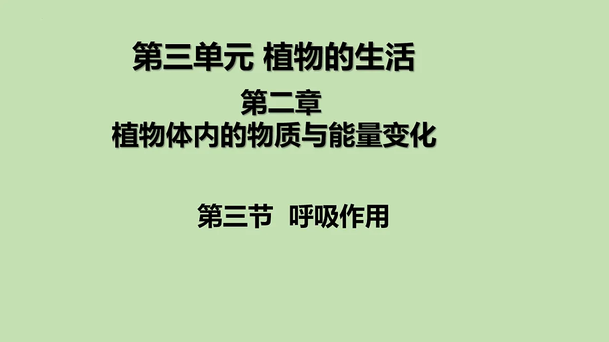 18099704第1页