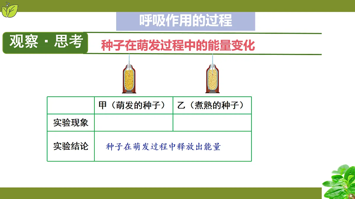 18099704第5页