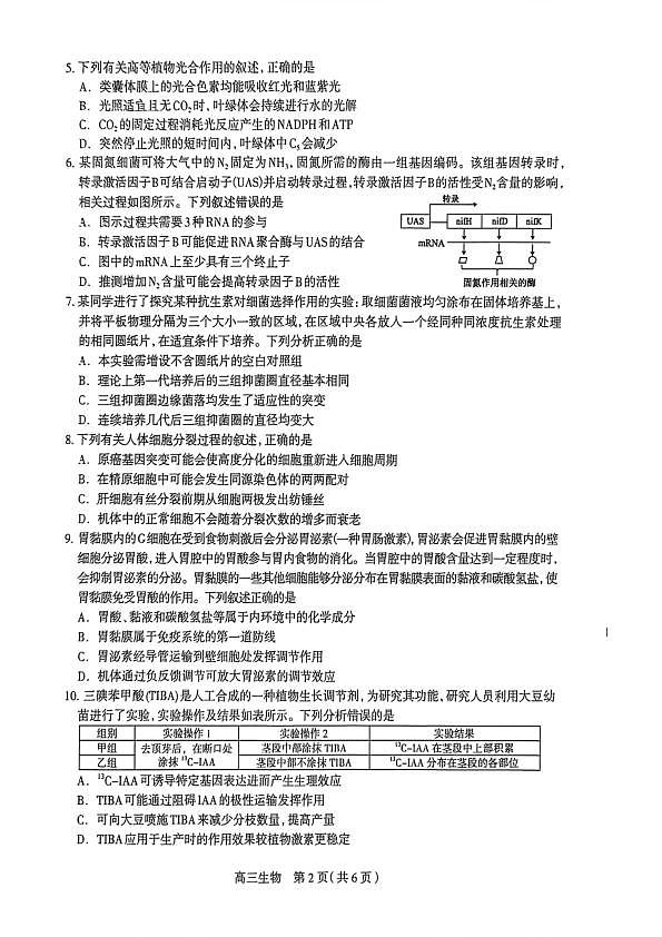 生物试卷第2页