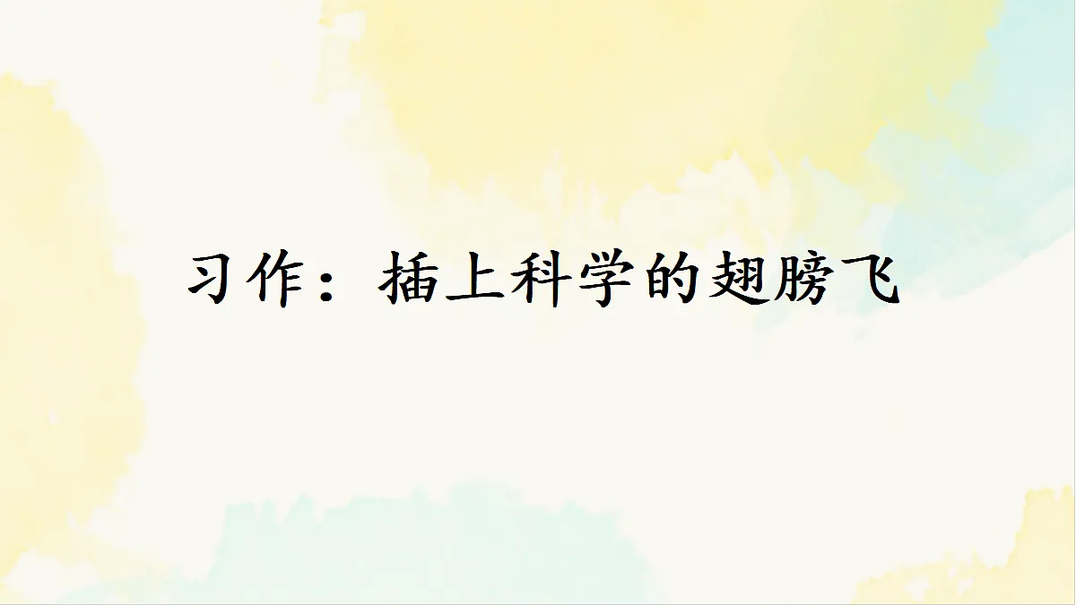 18100646第1页